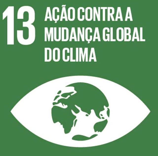 ODS 13